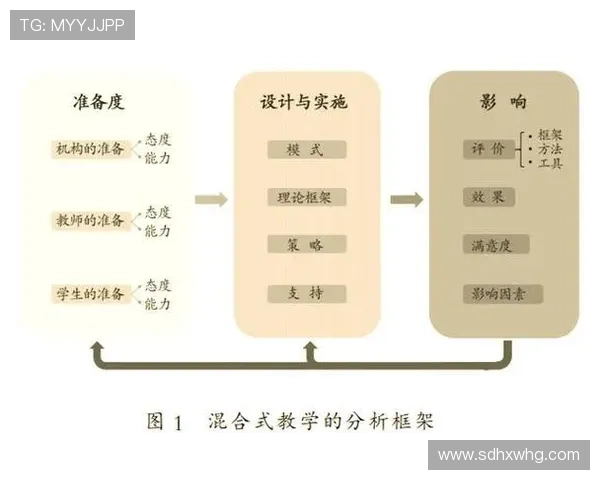理解与分析